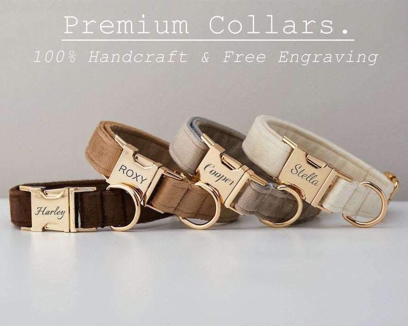 Multiple Color Velvet Dog Collar