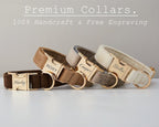 Multiple Color Velvet Dog Collar