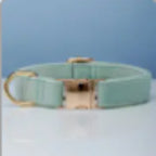 Multiple Color Velvet Dog Collar