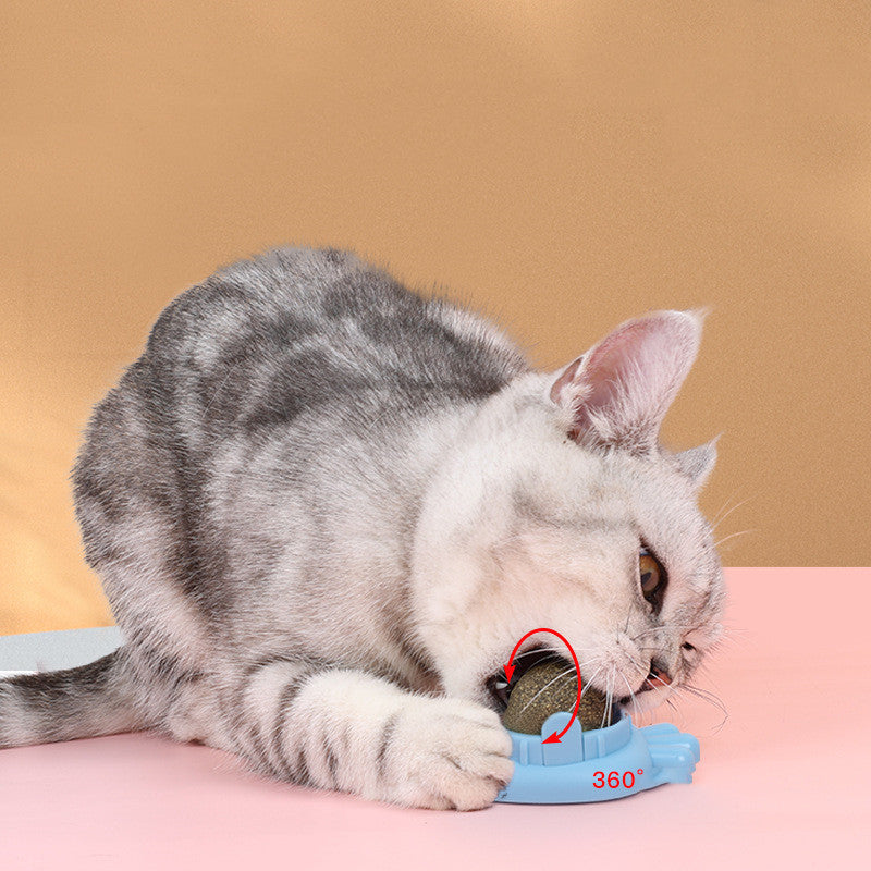 Pet Mint Ball Toy