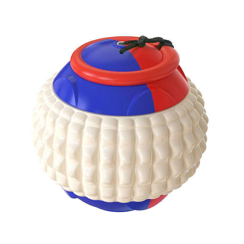 ABS Chew Resistant Throwing Ball Toy