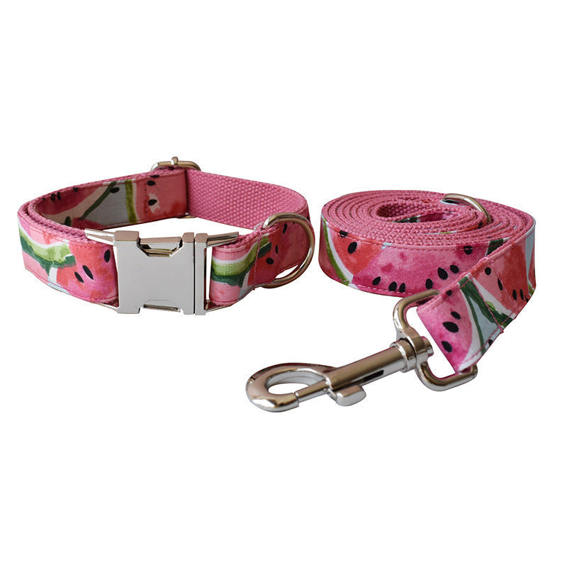 Printed Dog Collar and Leash