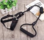Dog Collar and Leash