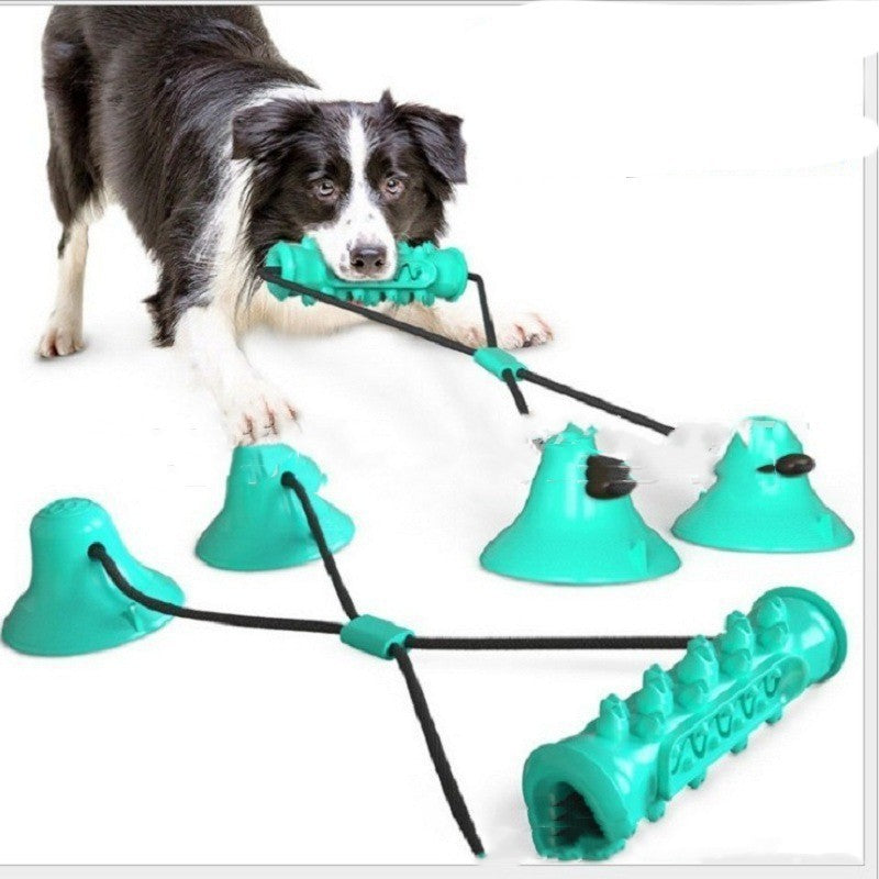 Suction Cup Molar Chew Toy