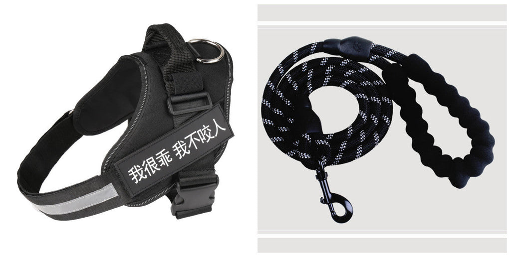 Simple Pet Chest Strap Harness and Leash Set