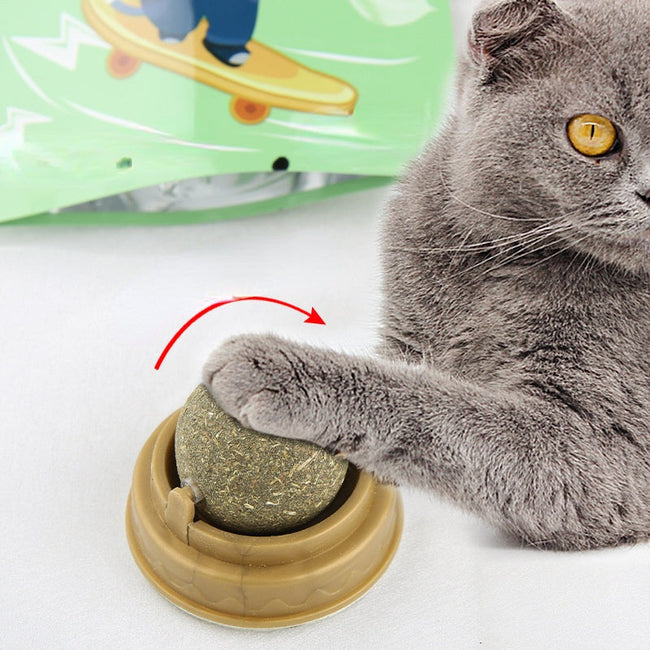 Catnip Balls Cat Treats Rotary Molar Teeth Cleaning Main Image