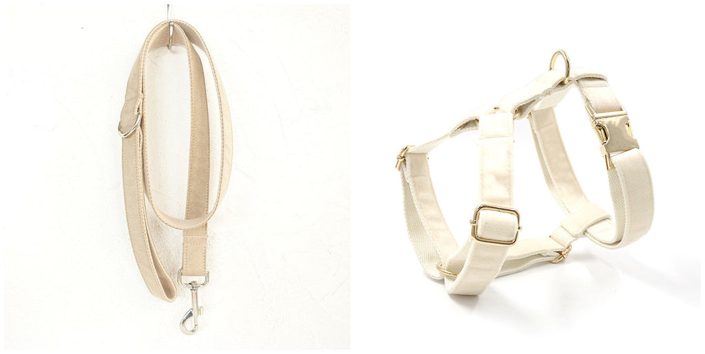 Dog Bowtie Collar and Leash Set