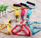 Dog Collar and Leash