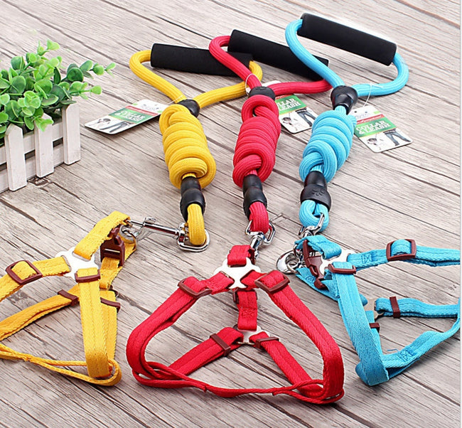 Dog Collar and Leash Main Image
