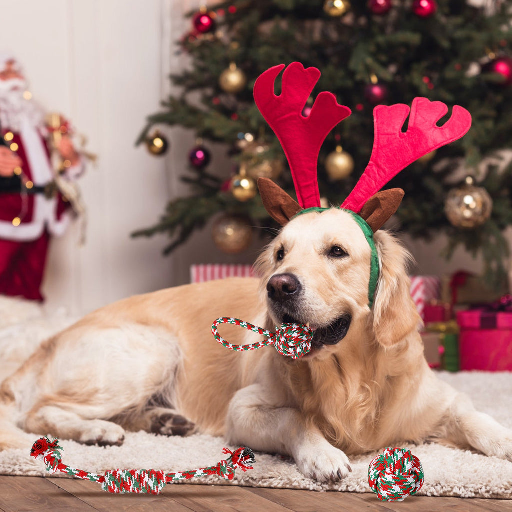 Set Of 5Pcs Christmas Dog Rope Chew Toys