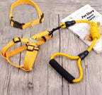 Dog Collar and Leash