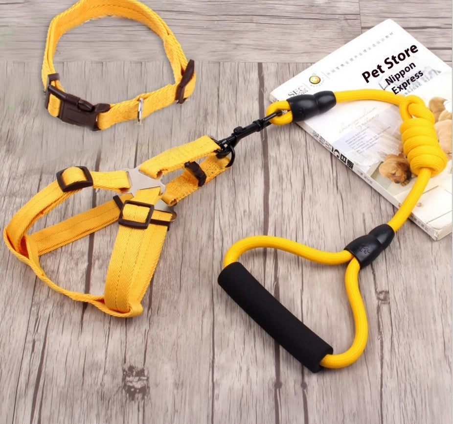 Dog Collar and Leash