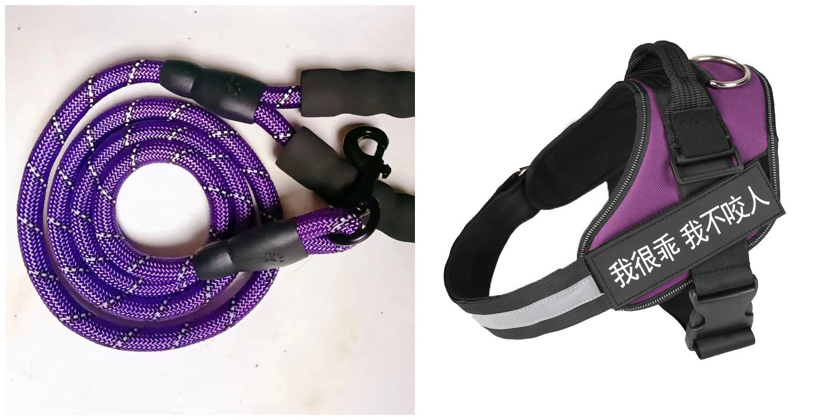 Simple Pet Chest Strap Harness and Leash Set