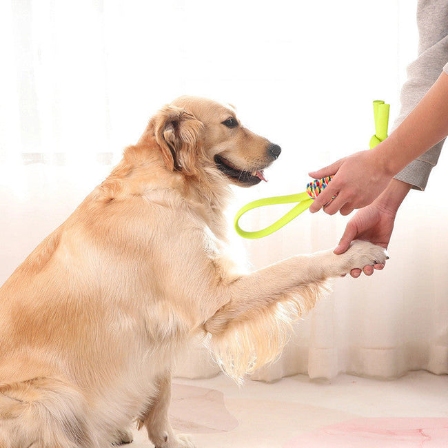 Dog TPR Chewing Toy Bite Resistant Molar Teeth Cleaning Pet Toy Main Image