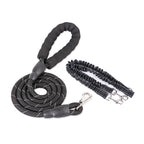 Double Head Dog Leash With One Tow