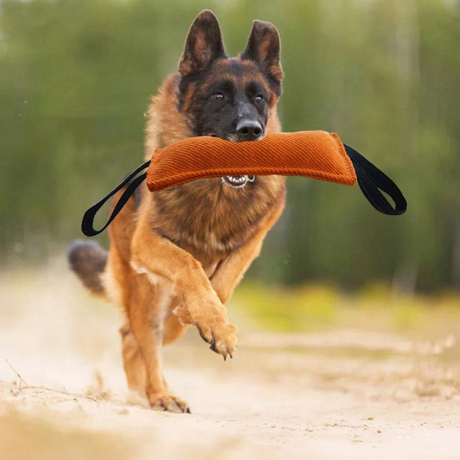 Dog Drag Toy Dog Jute Bite Pillow Durable Training Equipment Hover Image