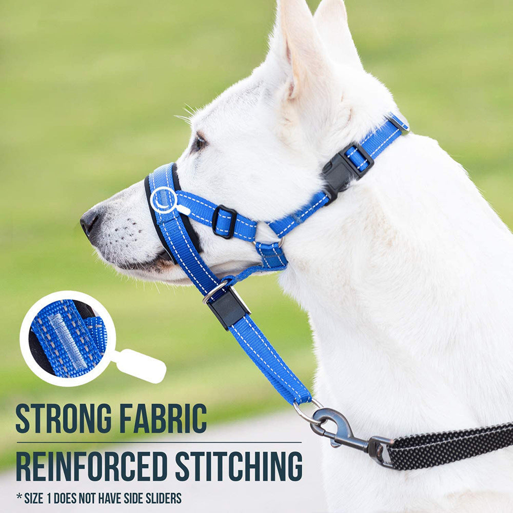 Nylon Dog Muzzle and Leash