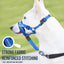 Nylon Dog Muzzle and Leash