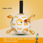 Interactive Dog Football Toy - Soccer Teething Ball With Cute Printing