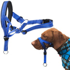 Nylon Dog Muzzle and Leash