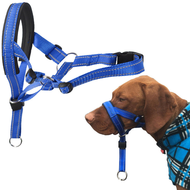 Nylon Dog Muzzle and Leash Main Image