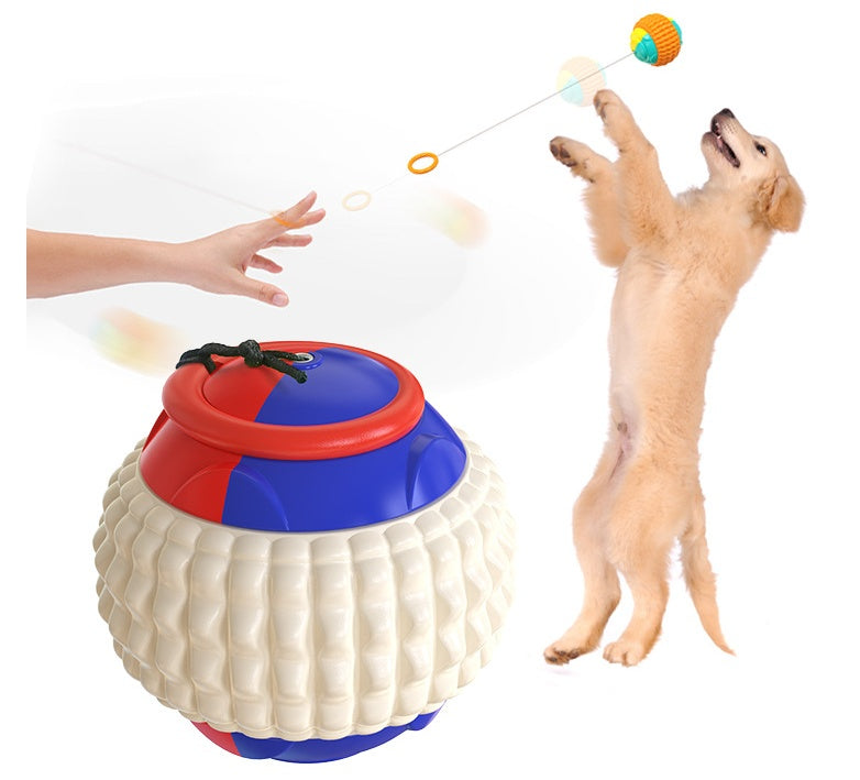ABS Chew Resistant Throwing Ball Toy