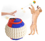 ABS Chew Resistant Throwing Ball Toy
