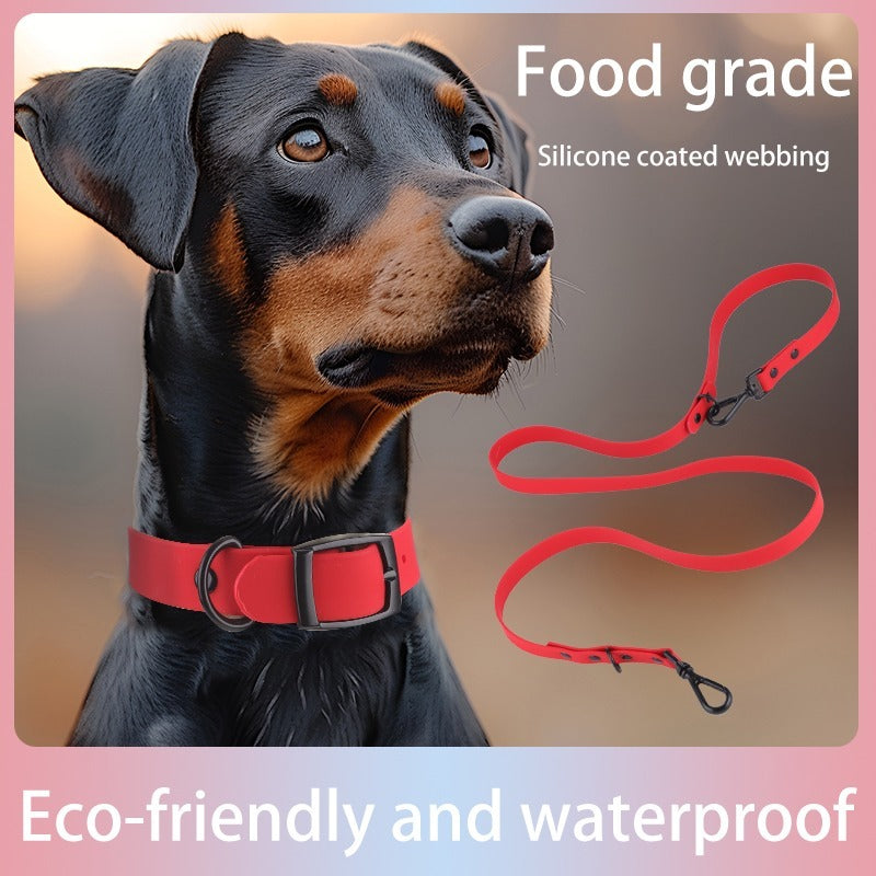 Silicone Pet Collar and Leash Set Easy
