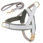 Personalized Dog Harness Leash Set