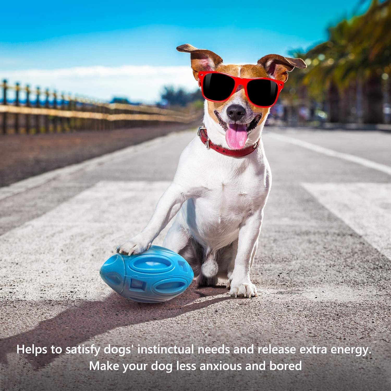 Dog Toy - Rubber Rugby Ball Wear-Resistant Bite-Resistant Ball