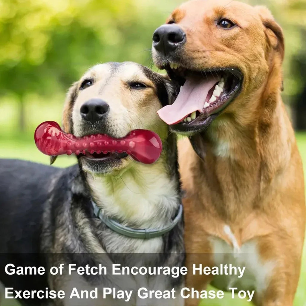 Durable Natural Rubber Dog Chew Toy