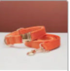 Multiple Color Velvet Dog Collar