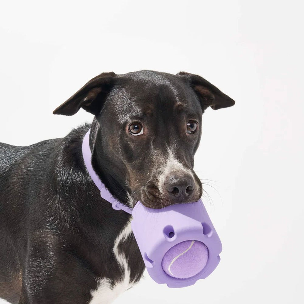 Dog Tennis Ball Cup Natural Rubber