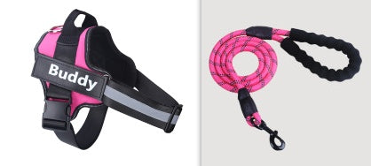 Simple Pet Chest Strap Harness and Leash Set