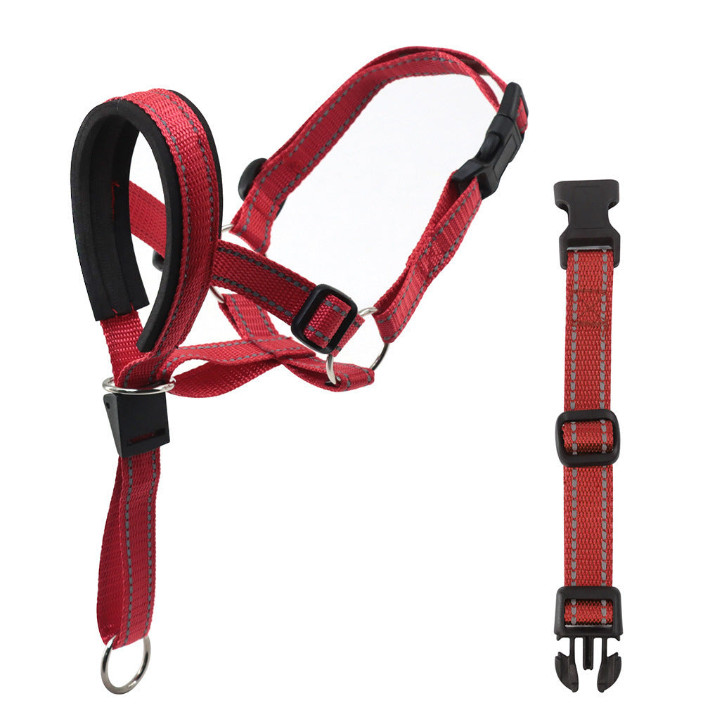 Nylon Dog Muzzle and Leash