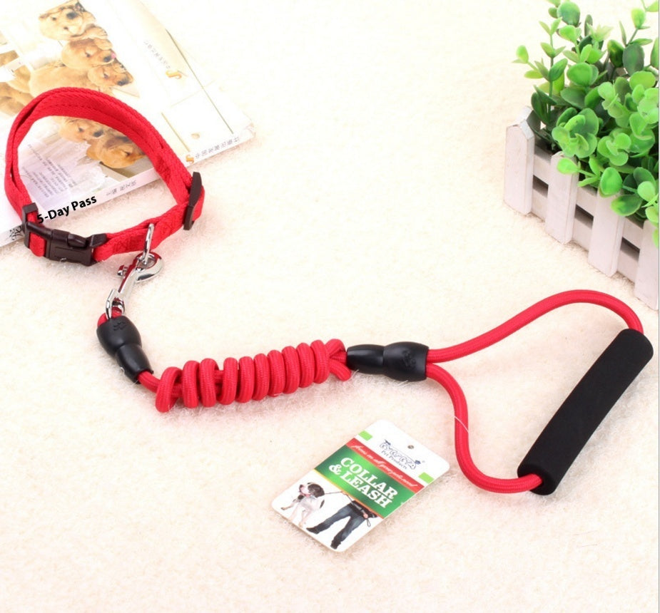Dog Collar and Leash
