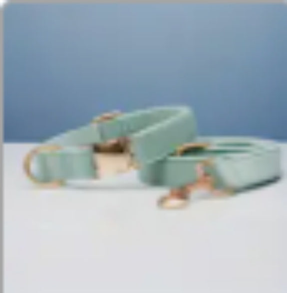 Multiple Color Velvet Dog Collar