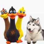 3pcs Latex Screaming Chicken Squeaky Chew Toy