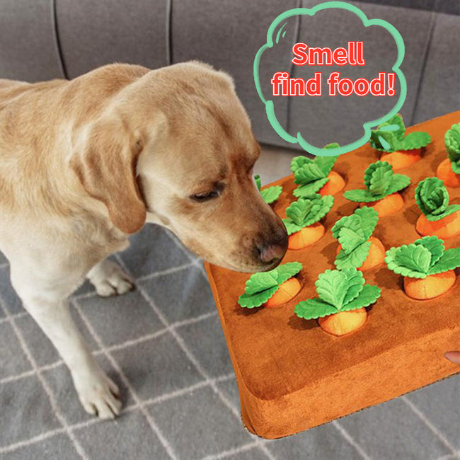 Carrot Plush Chew Toy Snuffle Mat Hover Image