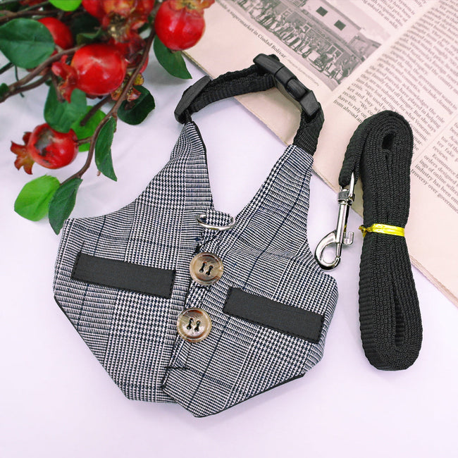 Small Animal Harness Vest and Leash Rabbit Harness Dress Main Image