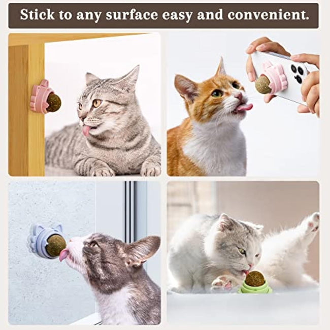 Stick On Wall Catnip Balls For Cats - Catnip Toys Main Image