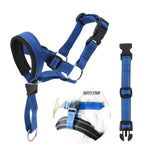 Nylon Dog Muzzle and Leash