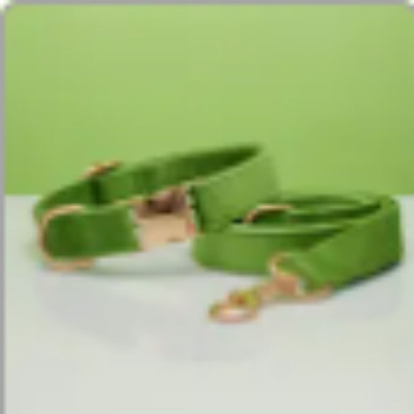 Multiple Color Velvet Dog Collar