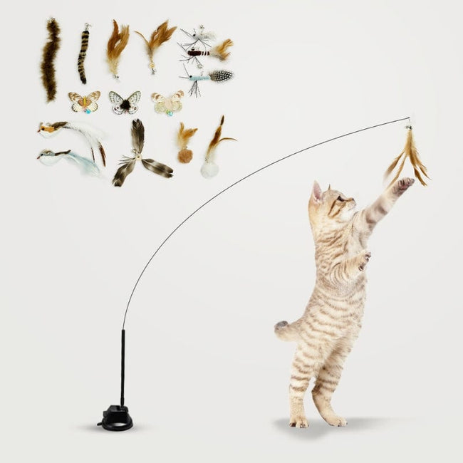 Cat Feather Toy Attachments (15 Pcs) Hover Image