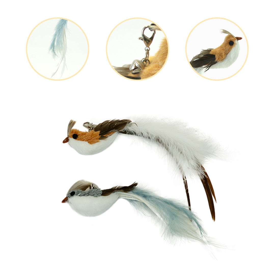 Cat Feather Toy Attachments (15 Pcs)