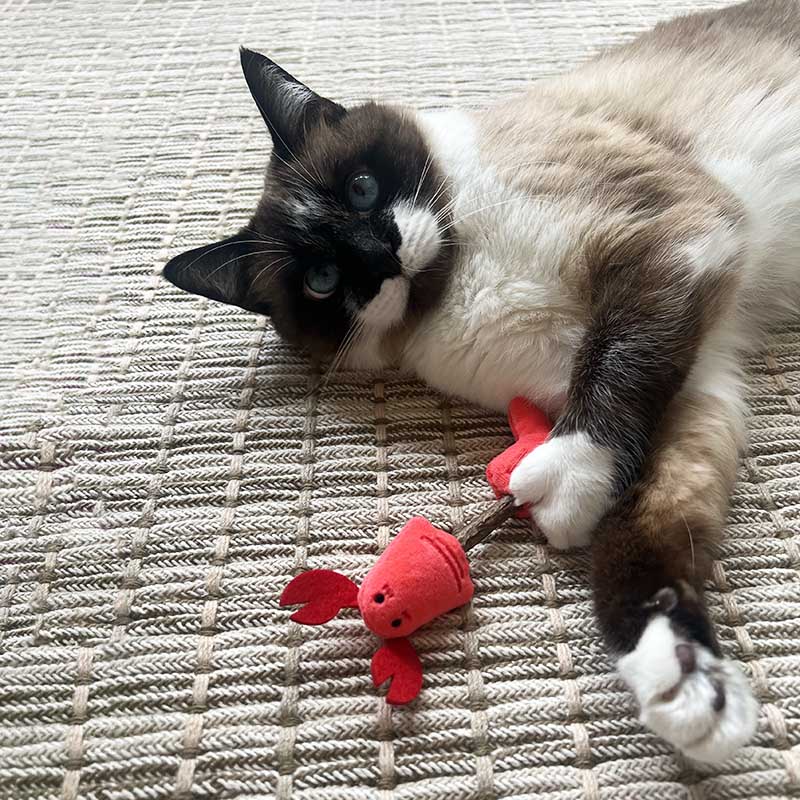 Catnip Toys with Chew Stick