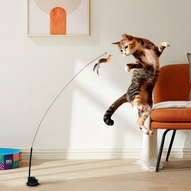Interactive Bird Simulation Cat Toy Main Image