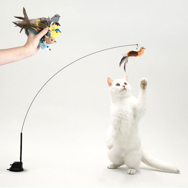 Interactive Bird Simulation Cat Toy Hover Image