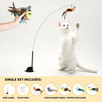 Interactive Bird Simulation Cat Toy