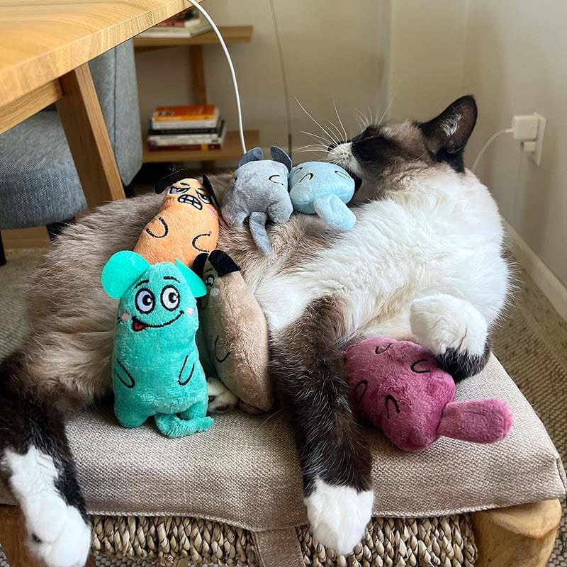 Meow Mates™ 6-Piece Catnip Companion & Play Pack
